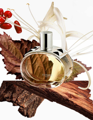 Barénia Edp